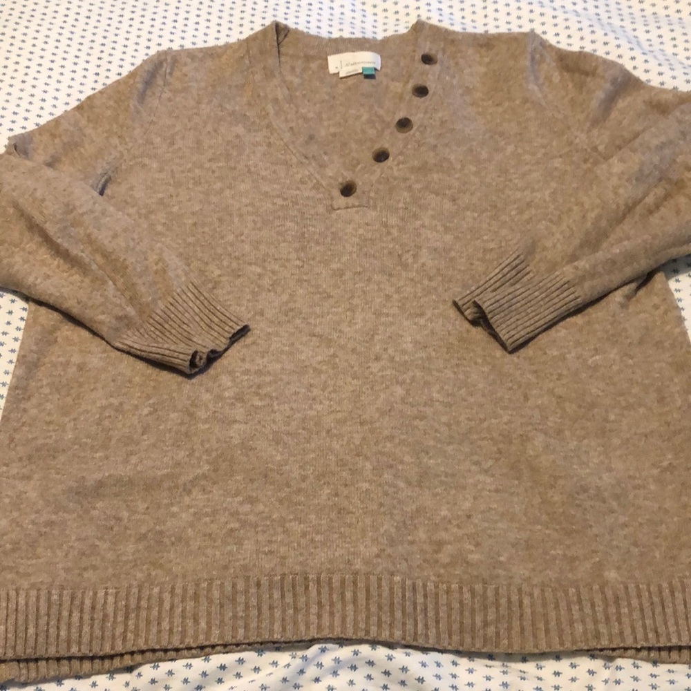 Plus size Anthropologie sweater